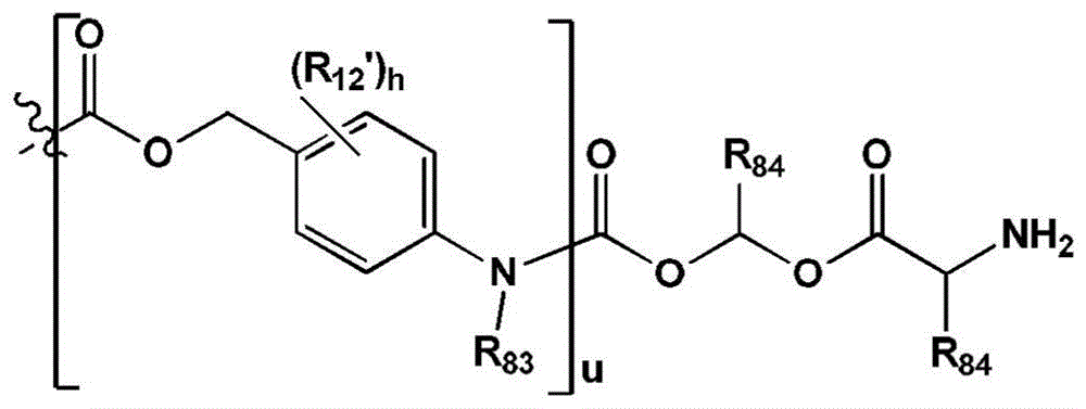Figure BDA0003135424430001163