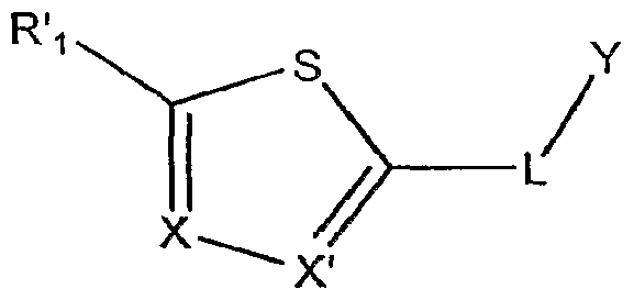 Figure imgf000005_0001
