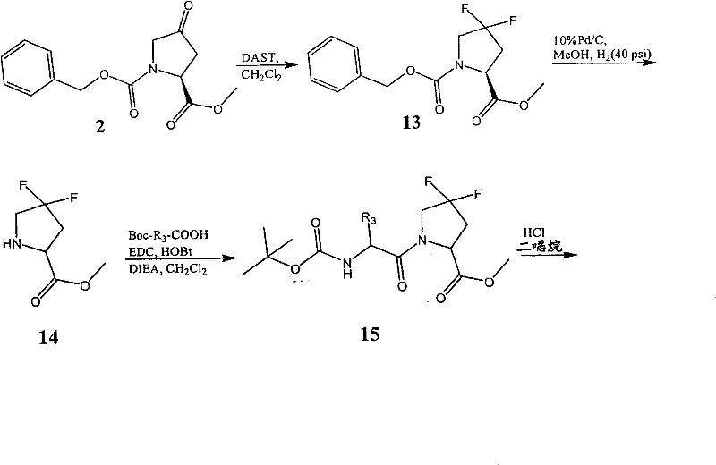 Figure BSA00000313081100622