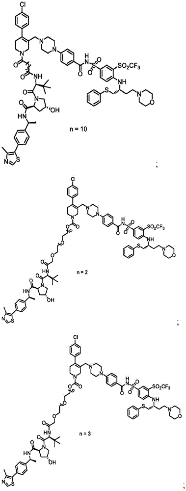 Figure BDA0003293294510000261