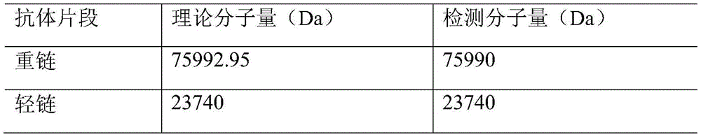 Figure BDA0002112124180000411