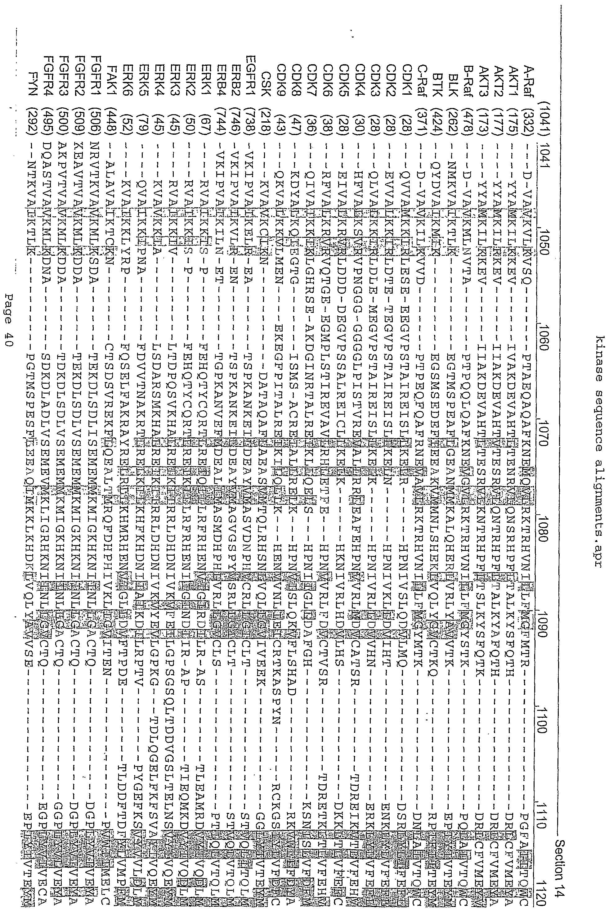 Figure imgf000091_0001