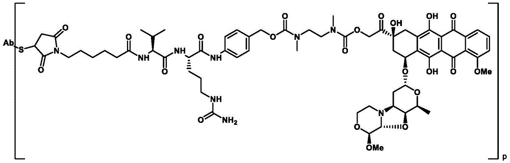 Figure BDA0003169464670001421