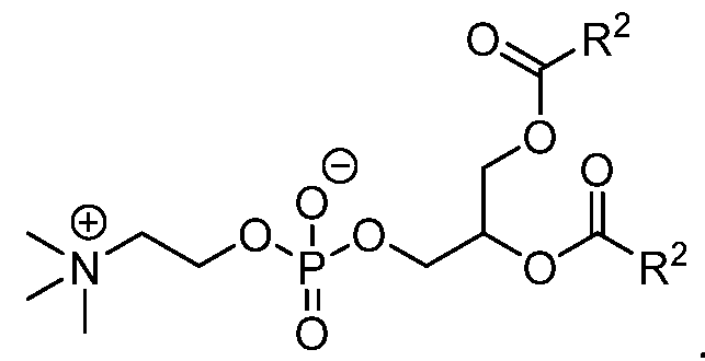 Figure imgf000076_0001