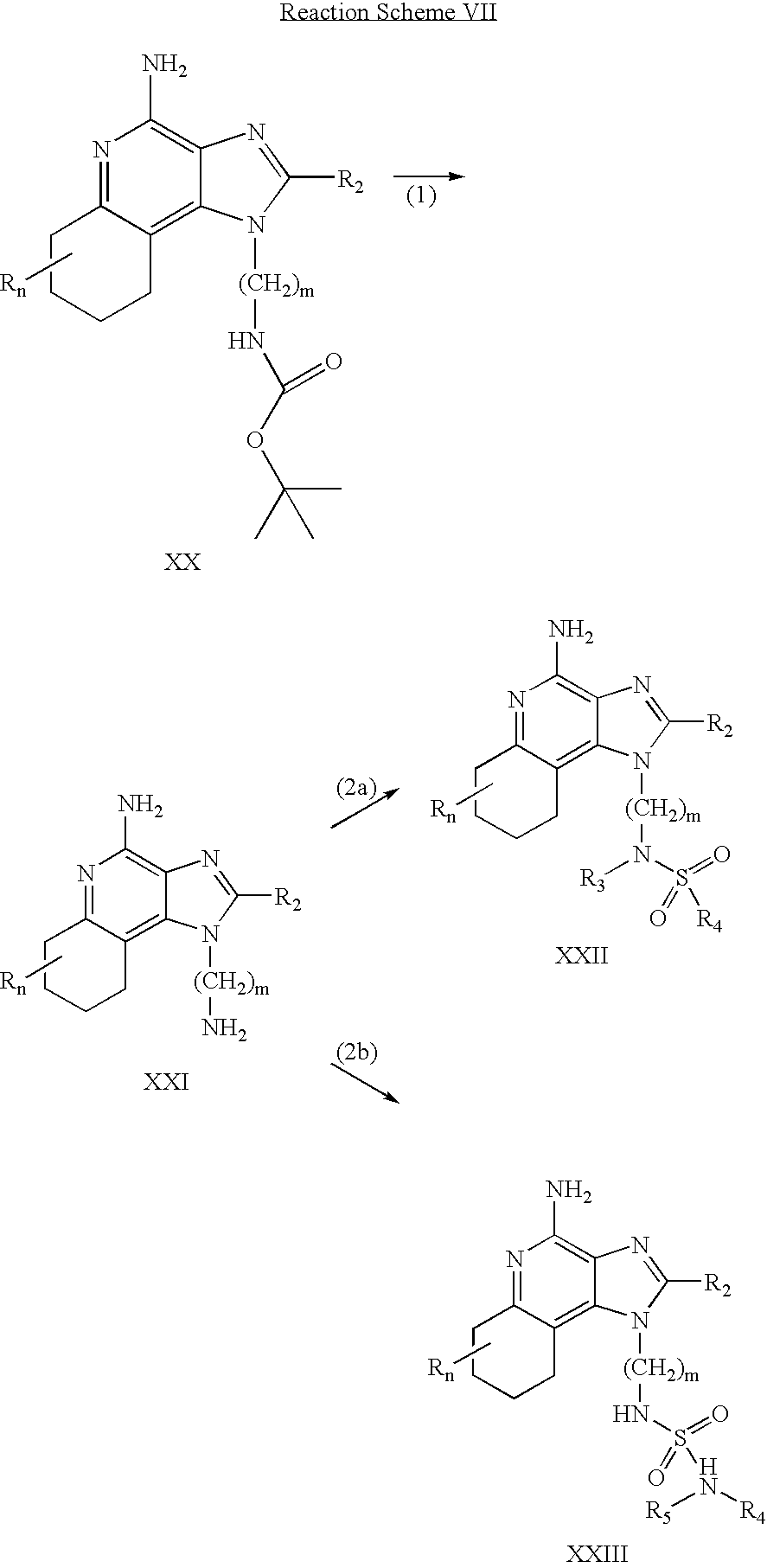 Figure US06924293-20050802-C00009