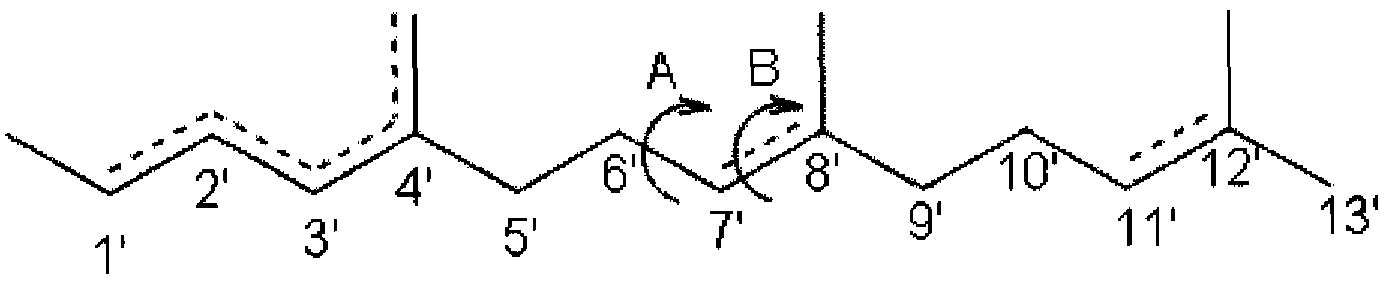Figure imgf000020_0001