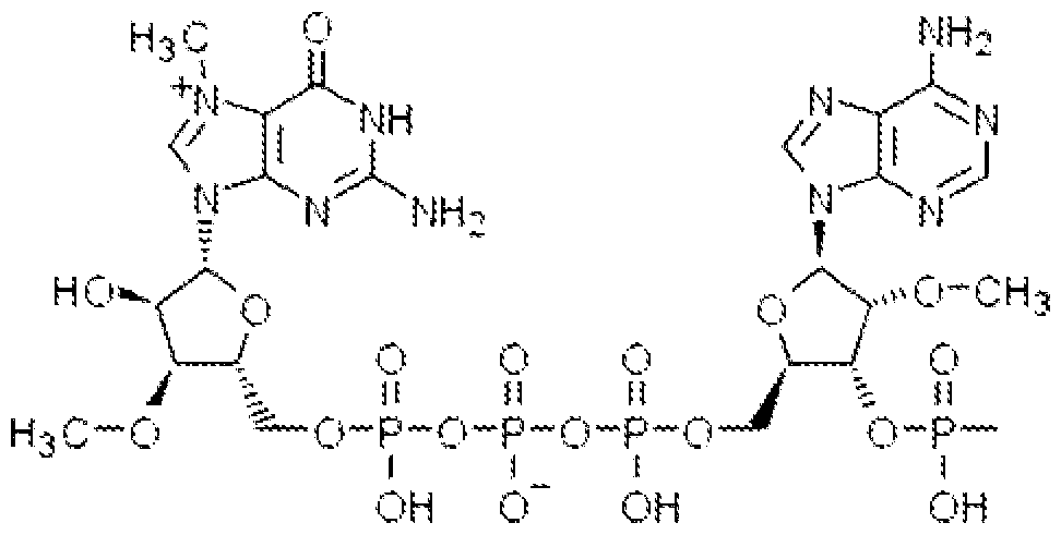 Figure imgf000206_0001