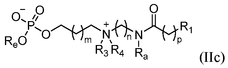 Figure imgf000026_0001