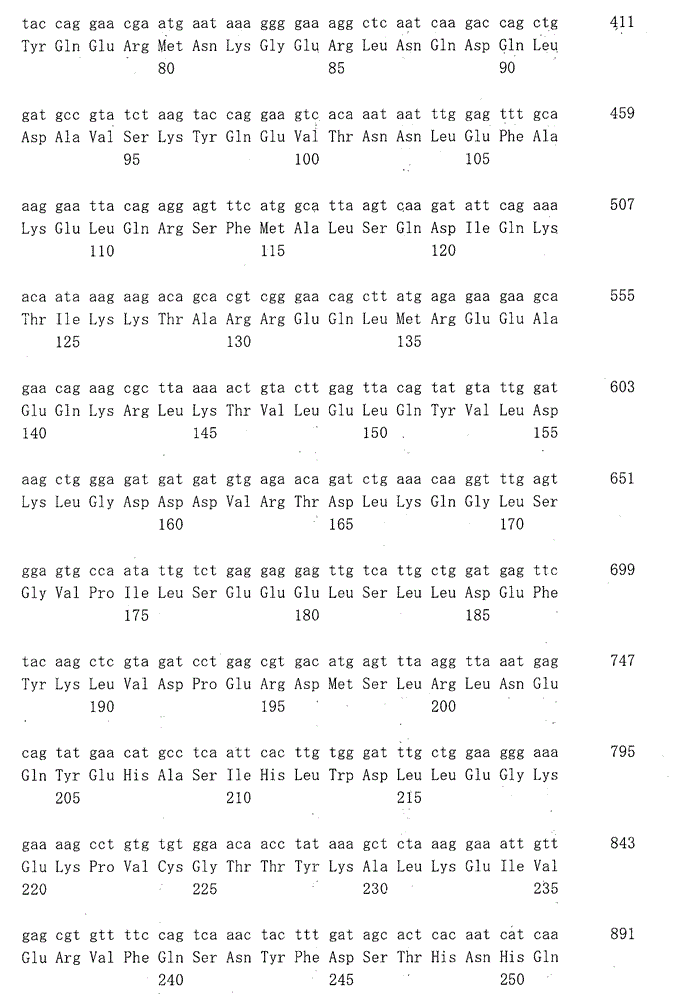 Figure IDA0000046353120001091