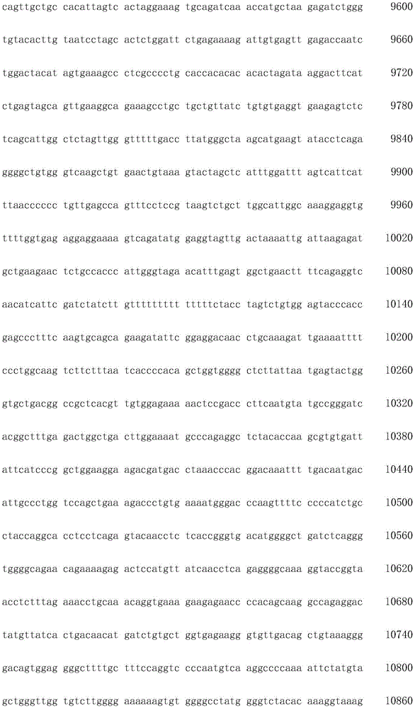 Figure IDA0003936212790000181