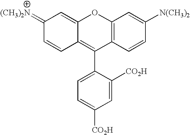Figure US20070154927A1-20070705-C00114