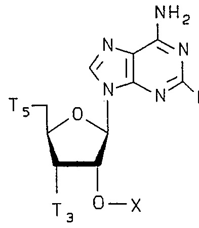 Figure imgf000017_0002