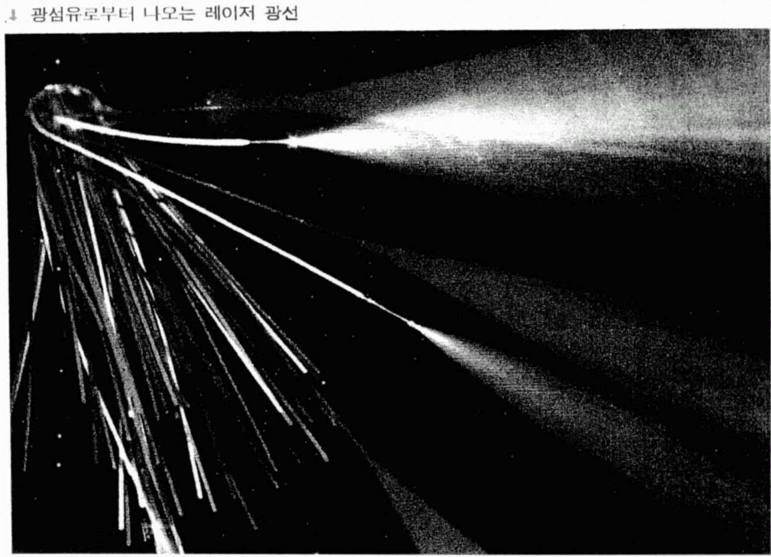 Figure 112009504565716-PAT00439