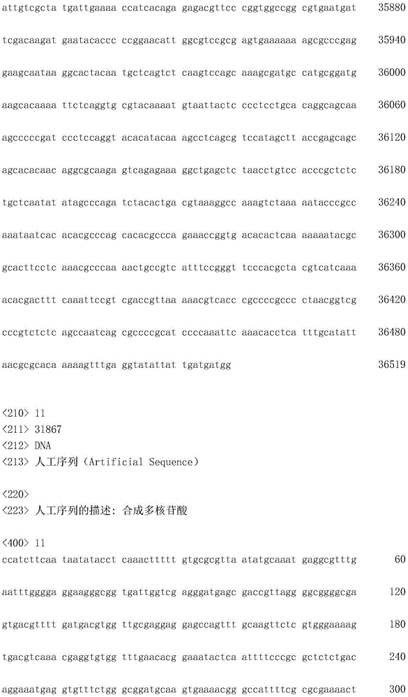 Figure IDA0002872168960001311