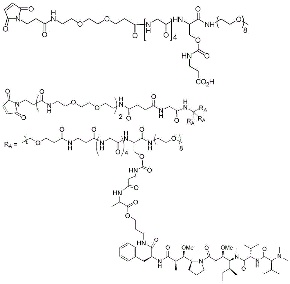 Figure BDA0003135424430001711