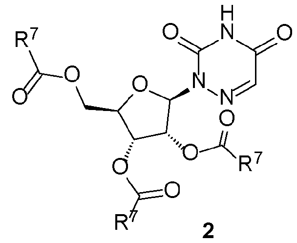 Figure imgf000007_0001