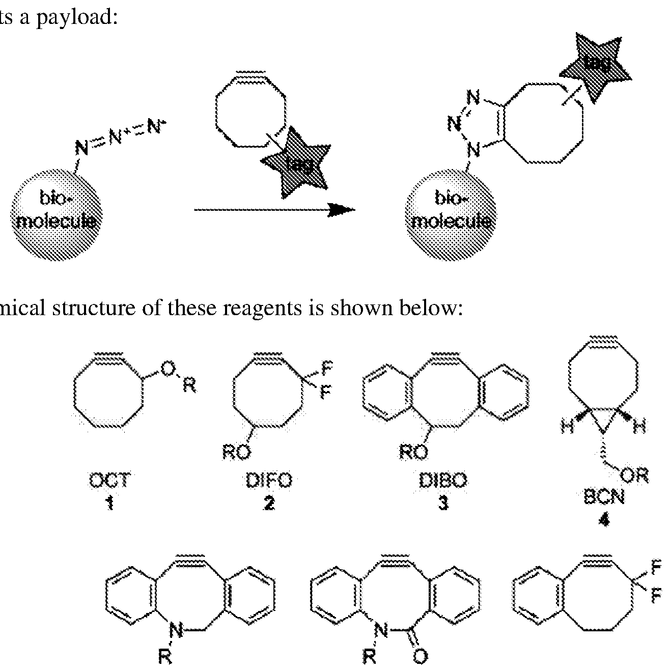 Figure imgf000021_0001