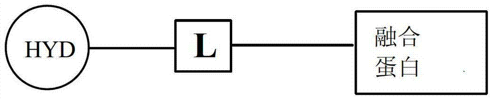 Figure BDA00003626100100064