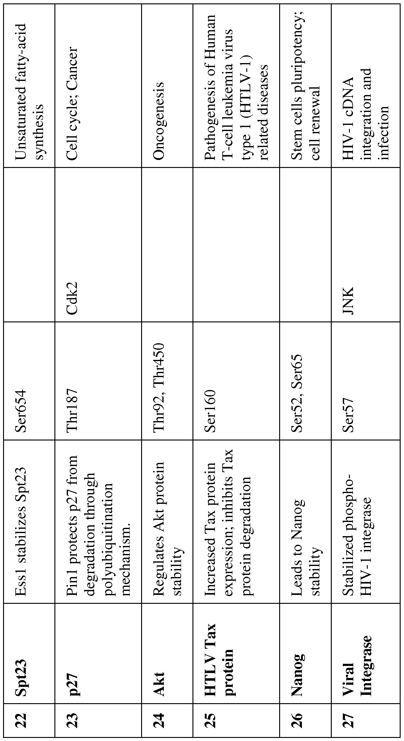 Figure imgf000020_0001