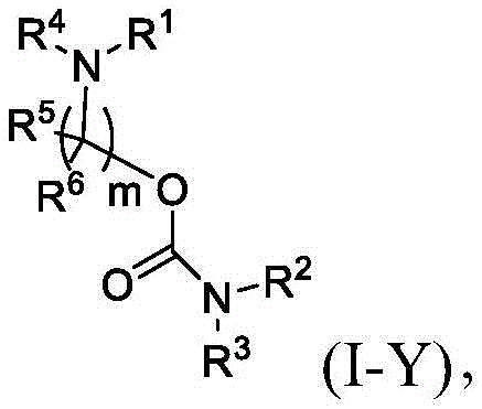 Figure BDA0003652566710000133