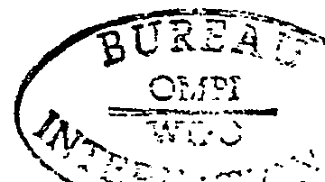 Figure imgf000011_0001