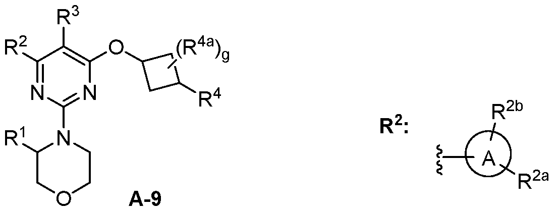 Figure imgf000073_0003