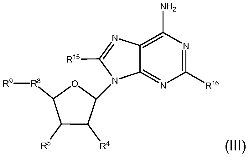 Figure imgf000016_0002