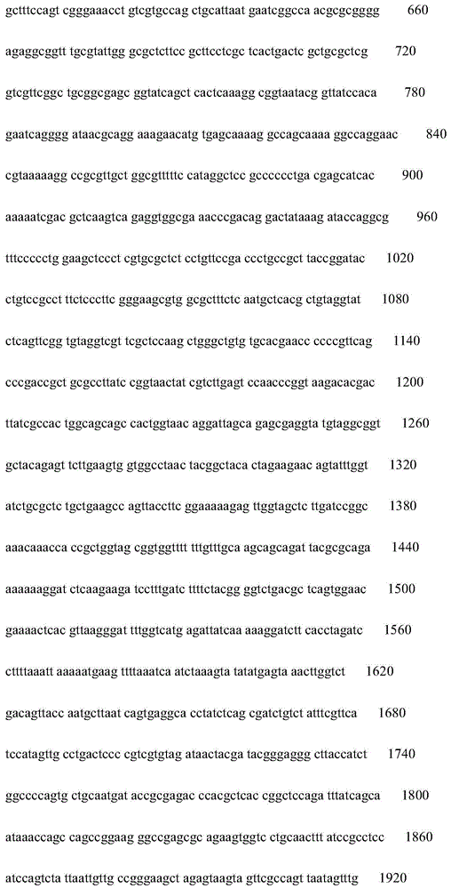 Figure IDA0000827411970000021