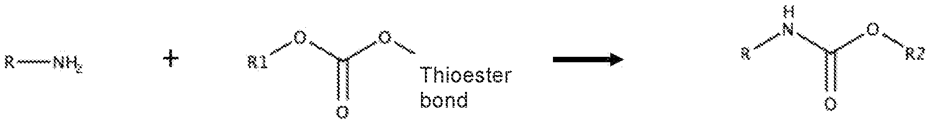 Figure imgf000034_0002