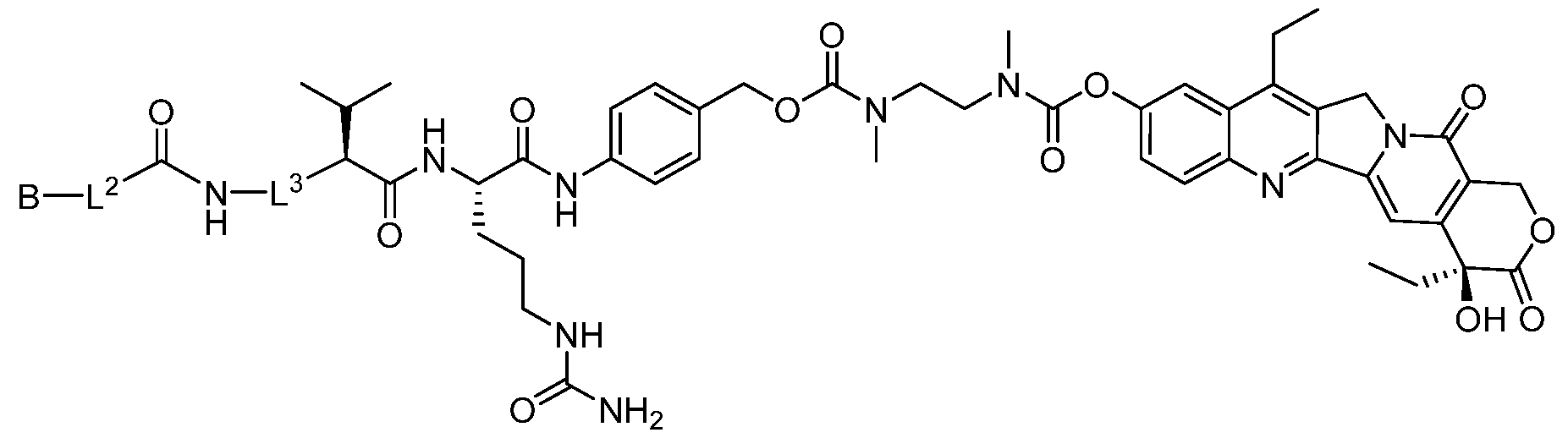 Figure imgf000014_0001