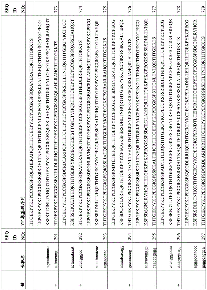 Figure BDA0003935065550000691