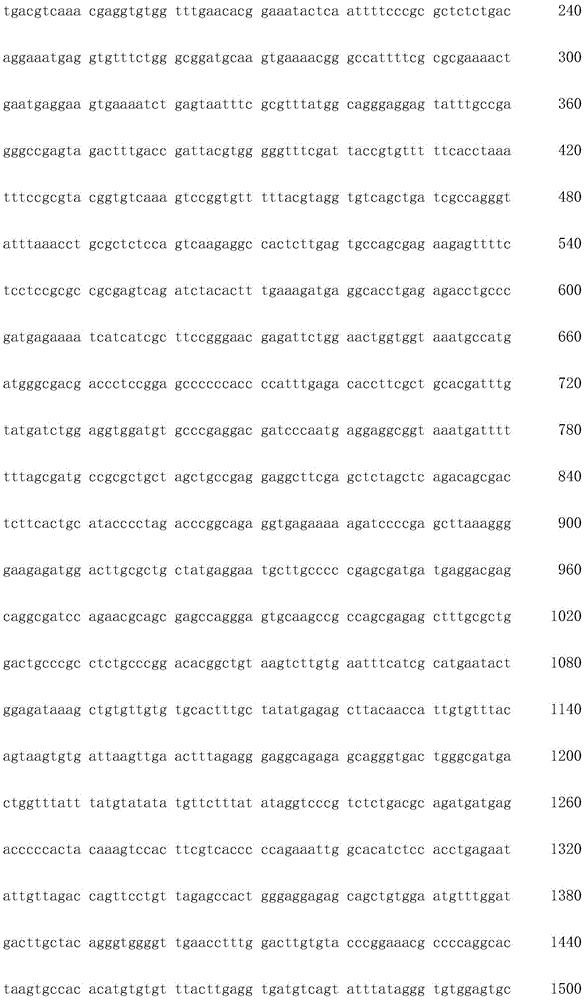 Figure IDA0002872168960001041