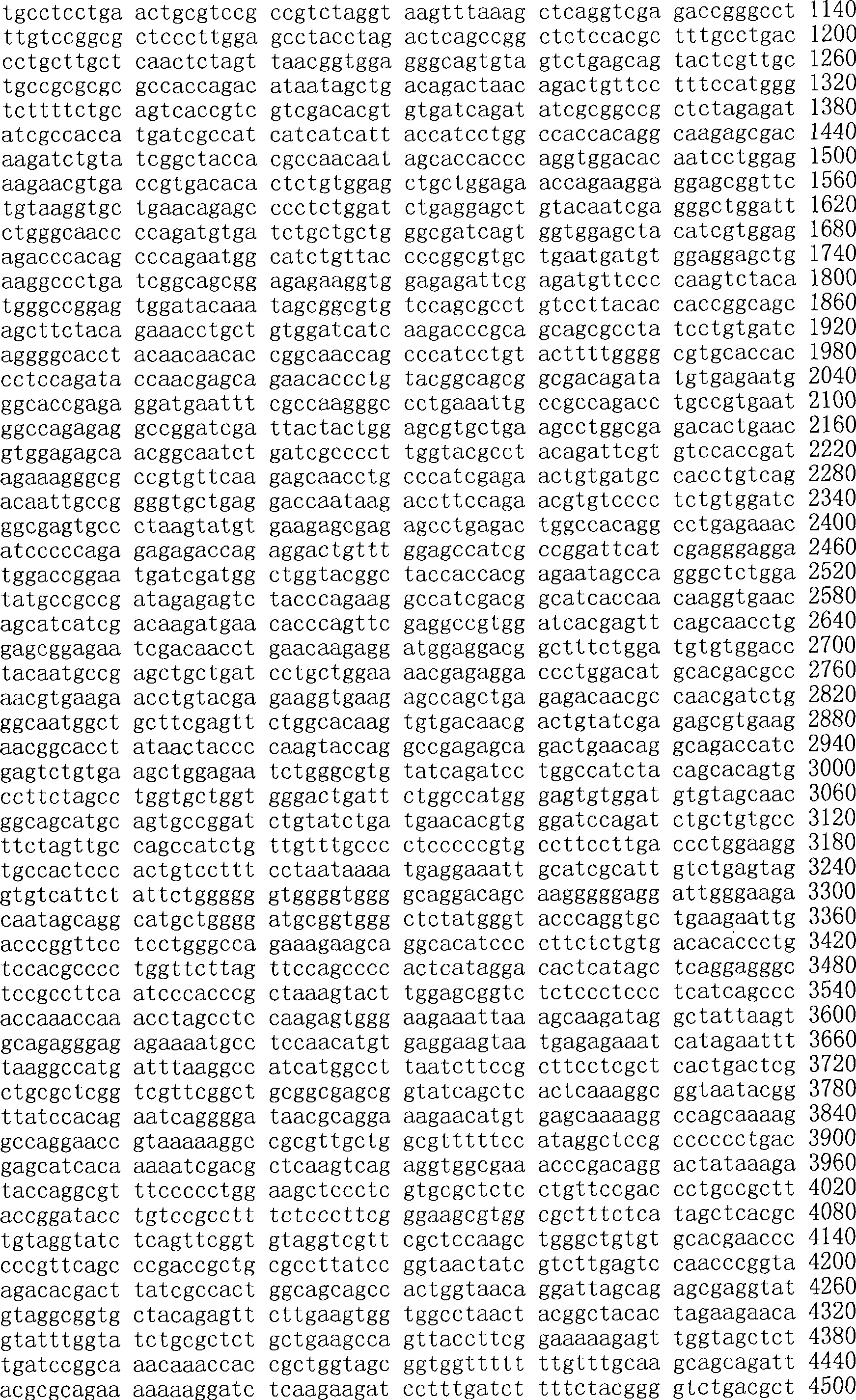 Figure A200780009494D03361