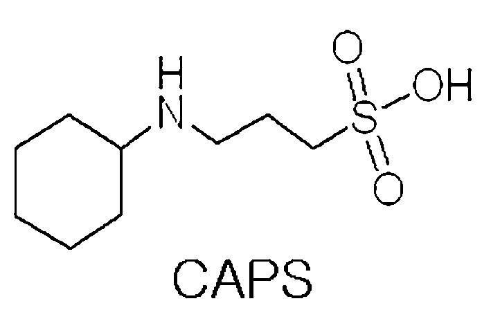 Figure 112006024462390-pat00002