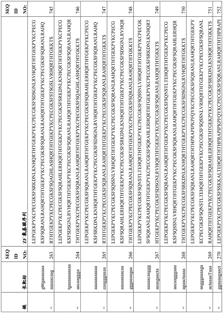 Figure BDA0003935065550000651