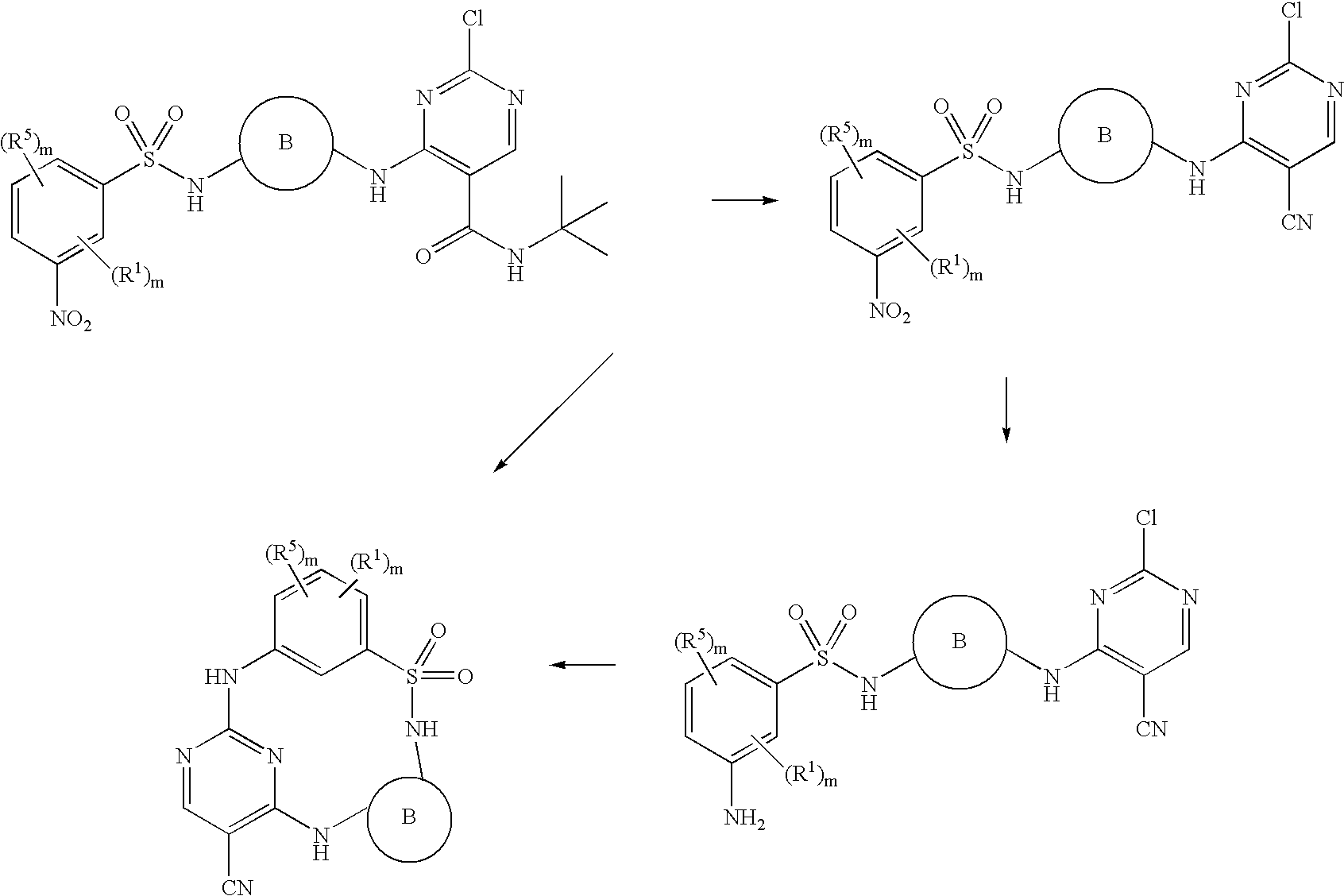 Figure US20040209895A1-20041021-C00038