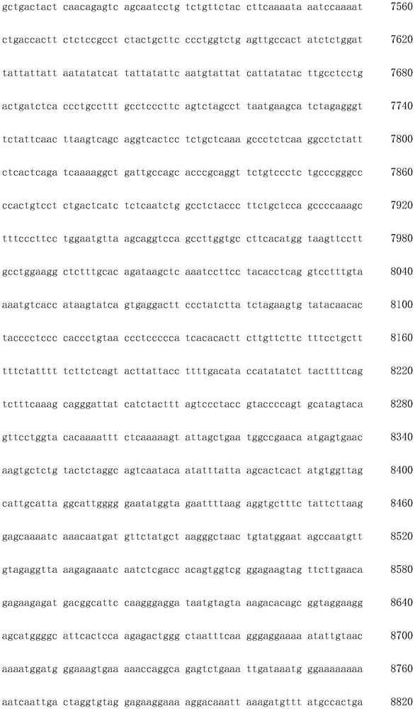 Figure IDA0003936212790001071