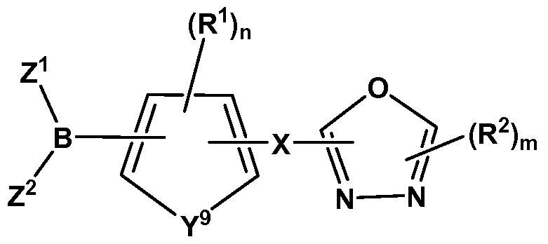 Figure imgf000316_0001