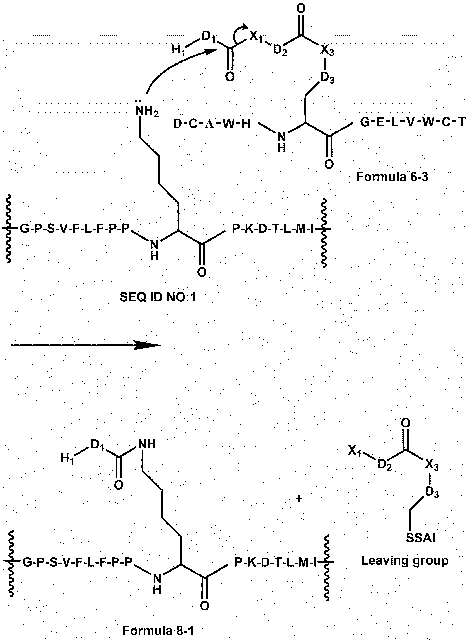 Figure PCTKR2020003282-appb-I000107