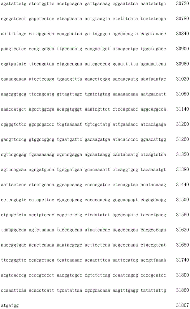 Figure IDA0002872168960001551