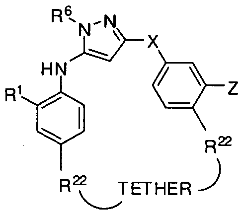 Figure imgf000145_0003