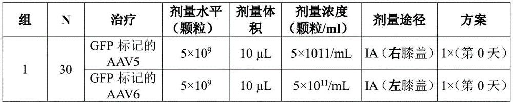 Figure BDA0004103958450001021