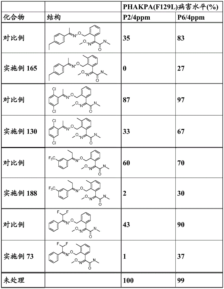 Figure BDA0003914530940001311