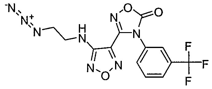 Figure imgf000075_0002