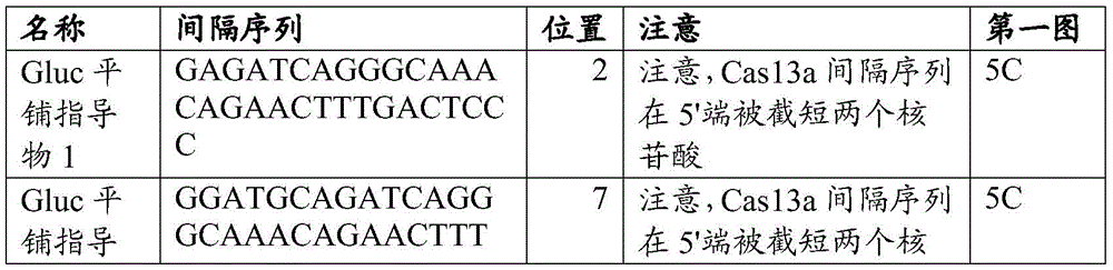 Figure BDA0002313867470003212