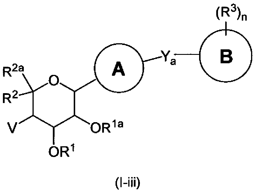 Figure imgf000011_0002
