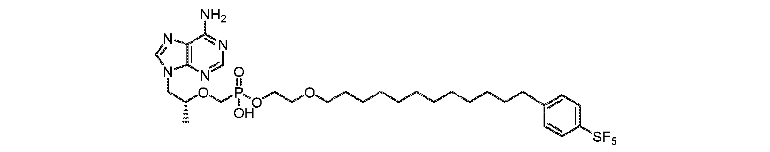 Figure 0007678795000318