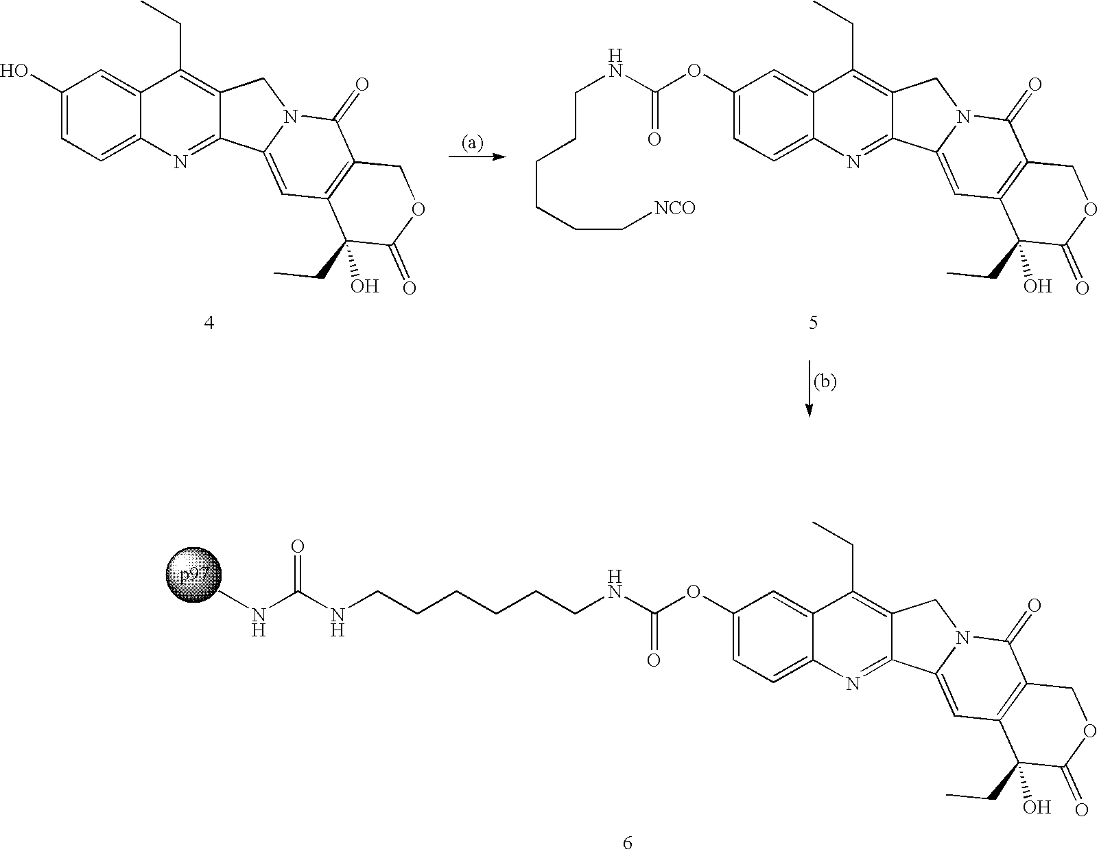 Figure US20060029586A1-20060209-C00020