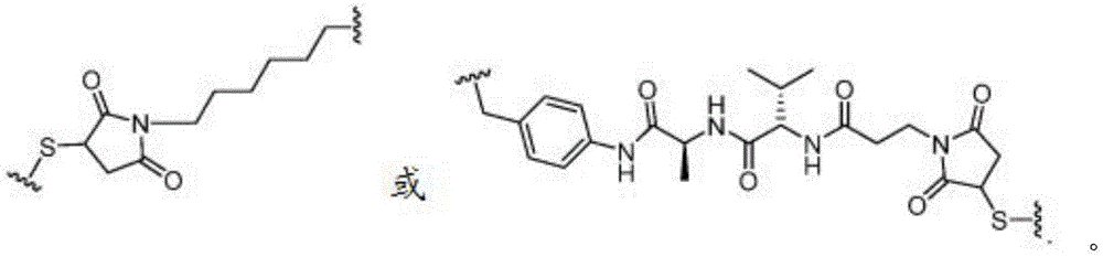 Figure BDA0003107814740001181