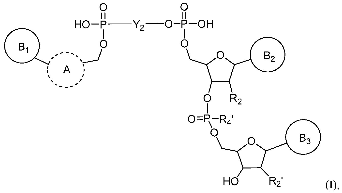 Figure imgf000008_0001